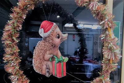 Photo of Christmas Wreath with Echidna