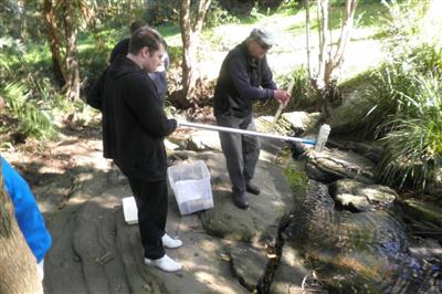 Checking the water cleanliness