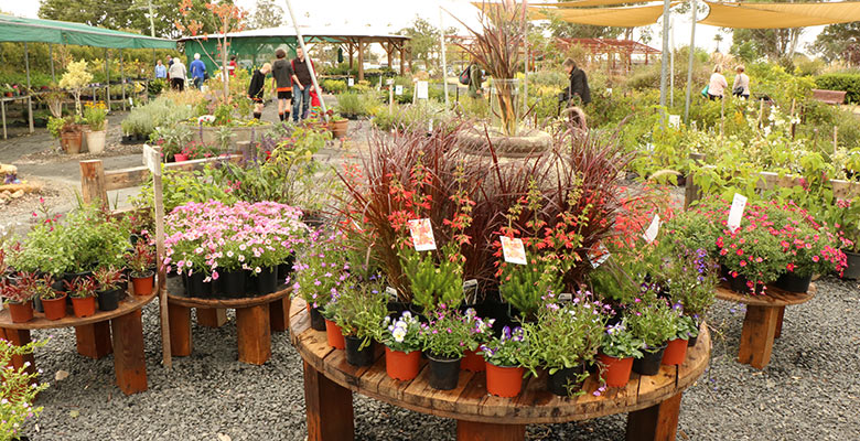 SG Main Nursery Area